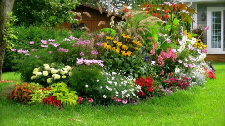 Des conseils astucieux pour aménager un jardin